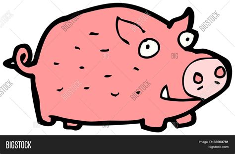 Feral Pig Cartoon