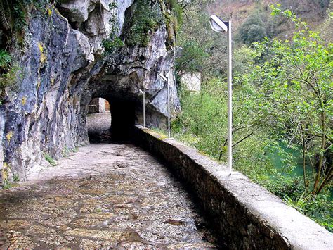 Producido en el corazón de los picos de europa, en los. CONCEJO DE CABRALES - Alojamientos Picos Europa