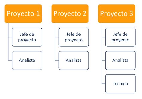 Organigrama De Estructura Del Proyecto Una Estructura De Organizaci N The Best Porn Website