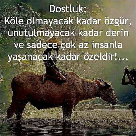 Tanrım beni dostlarıma karşı koru. Etkileyici Dost Sözleri