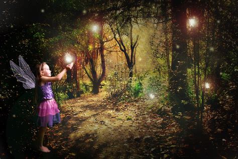 Fairy Enchanted Forest Background Carrotapp