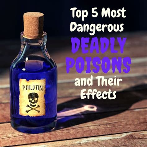 5 Deadliest Poisons Known To Man And Their Effects Owlcation