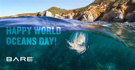World Oceans Day Get Involved And Celebrate Bare Sports