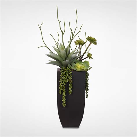 Plant care, soil & accessories. Botanical Succulent Variety in a Tall Black Modern Metal ...