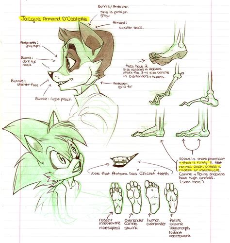 Sonic The Hedgehog Mobian Anatomy Explained Peepsburghcom