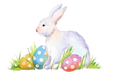 Easter Bunny Watercolor Clipart Set Custom Designed Illustrations
