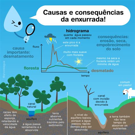 Hidrograma Arvoreagua