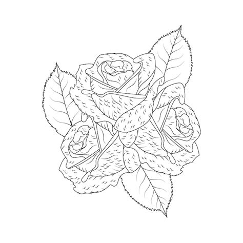 Premium Vector Red Rose Flowers Coloring Page Line Art Sketch Drawing