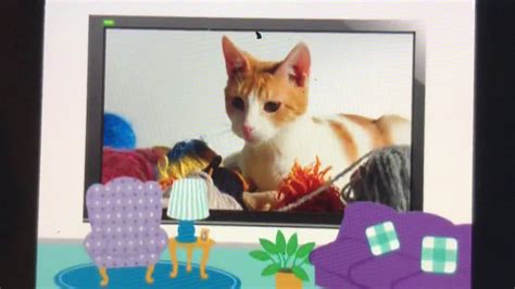 4.7 out of 5 stars with 989 ratings. baby Einstein Animals around me cat - YouTube