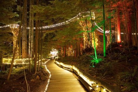 Vancouver City Capilano Suspension Bridge Canyon Lights Gray Line