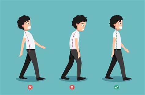 Wrong and correct walking posture, illustration 3240528 Vector Art at ...