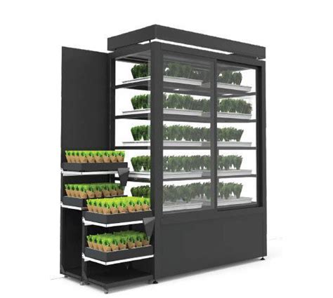 Super u grand bay, belle rose, flacq et u express cap tamarin vous accompagnent et vous font profiter au quotidien les meilleurs promotions. Une petite serre d'herbes aromatiques dans un supermarché ...