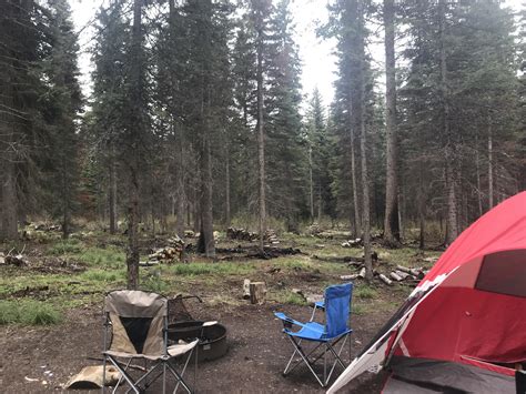 Lake Alva Campground Lolo National Forest Montana Rcamping