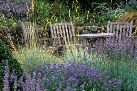 Ornamental grasses capture attention with easy beauty, easy care ...