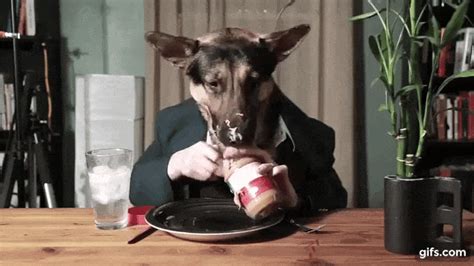 Download Dog Eating Peanut Butter  Png And  Base