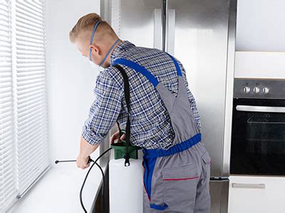 As a resident of stamford, ct, you are an easy target for all sorts of pests because your home provides shelter, food, and water. Pest Control Stamford CT | Connecticut Pest Inspection