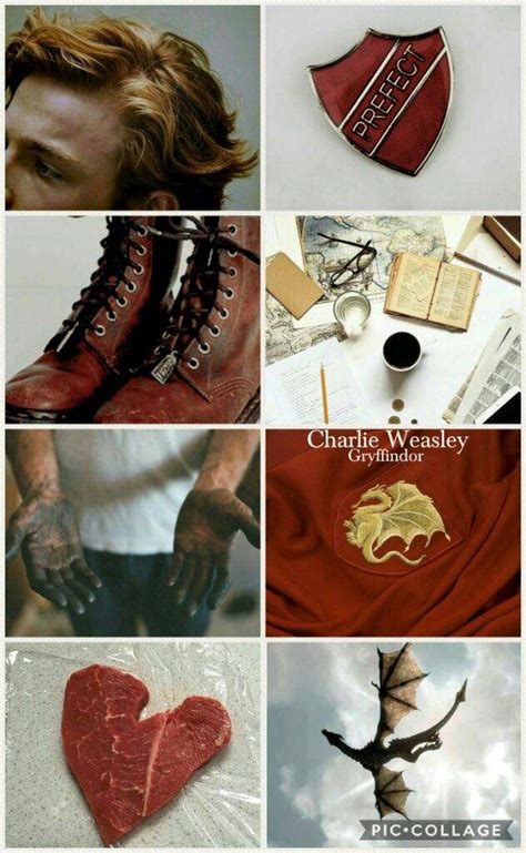 Charlie Weasley Aesthetic Harry Potter Amino