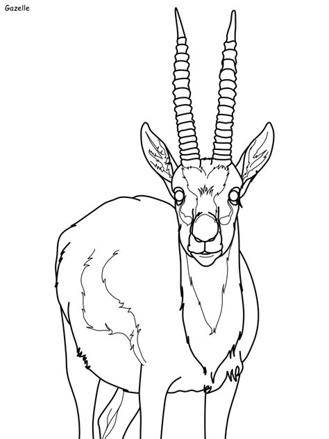Color pumpkins and pilgrims at thanksgiving, or santa and his reindeer at christmas. Habitats Coloring Pages