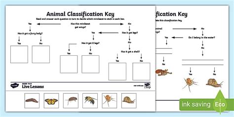 Animal Classification Keys Ks2 Primary Resources Twinkl