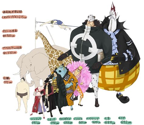 Height Chart Of The Original Shichibukai Ronepiece