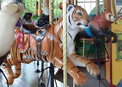 Kansas City Zoo Carousel Carousel Works Seal Tiger And Red Panda