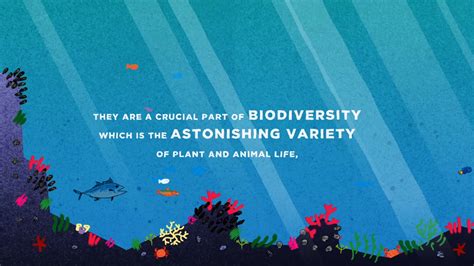 Fao Biodiversity Animation On Behance