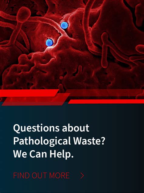 What Is Pathological Waste And How Do I Dispose Of It