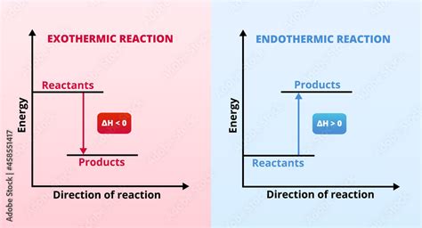 Vecteur Stock Vector Graphs Or Charts Of Endothermic And Exothermic