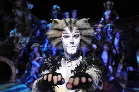 Etsi parhaat ilmaiset videot aiheesta cats broadway cast 2016. 8 Questions You Ask After Seeing 'Cats' For The First Time ...