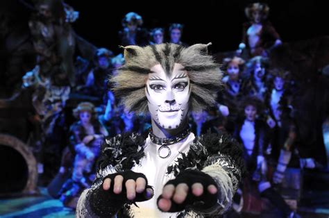 Cats original broadway cast recording vinyl record andrew lloyd webber memory 80s vintage album lp retro. 8 Questions You Ask After Seeing 'Cats' For The First Time ...