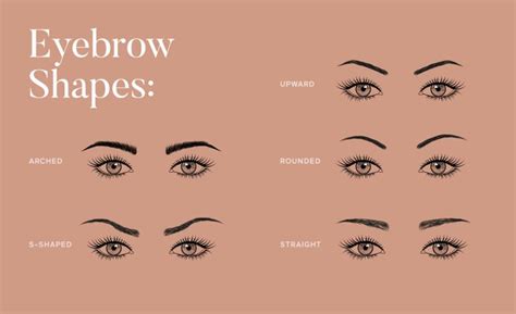 Eyebrow Shapes Explained Expert Tips To Style Yours