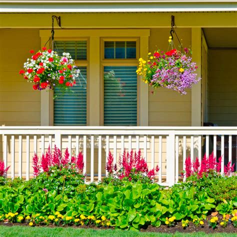 30 Front Porch Plants Ideas Decoomo