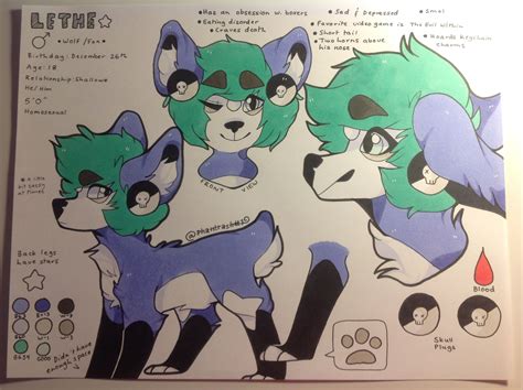 My Fursona Lethes Main Reference This Was Really Fun To Finally Go