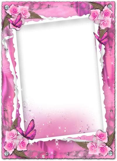 Transparent pink wedding frame with roses