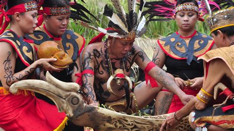 Suku Dayak Berasal Dari Provinsi Black Liff