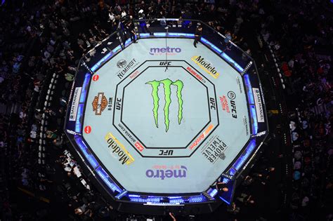 The Octagon Ufc