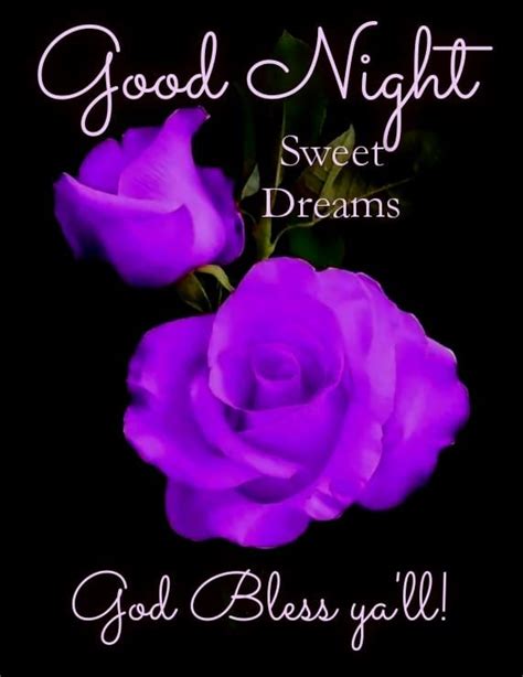 Purple Rose Good Night And Sweet Dreams Pictures Photos And Images For