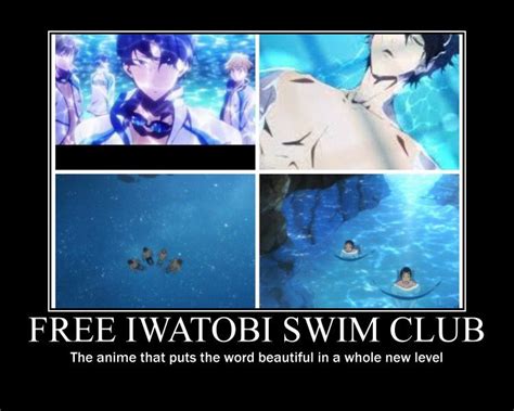 anime meme swimming anime makoharu splash free free iwatobi swim club eternal summer