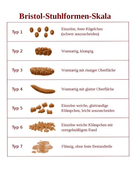 Bristol Stuhlformen Skala Was Der Stuhlgang über Die Gesundheit Verrät
