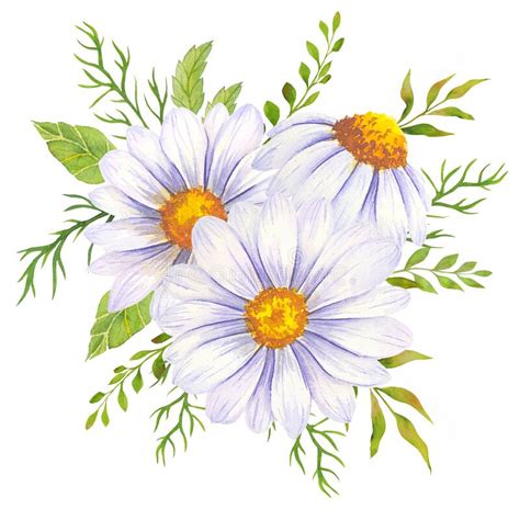 Watercolor Daisy Bouquet Hand Painted Daisy Bouquets Daisy Flower