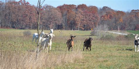 Trinity Farms Center for Healing – Committed to providing integrative