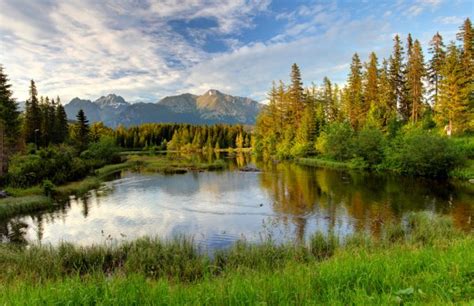Nature Mountain Scene With Beautiful Lake In Slovakia Tatra St Stock