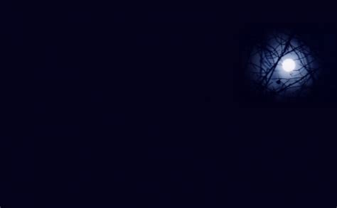 Polish your personal project or design with these indigo blue transparent png images, make it even more personalized and more attractive. Indigo Blue - Textures & Abstract Background Wallpapers on ...