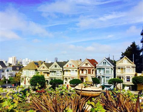 Painted Ladies San Francisco All You Need To Know Before You Go