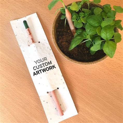 Introducing Plantable Sprout Pencils Botanical Paperworks