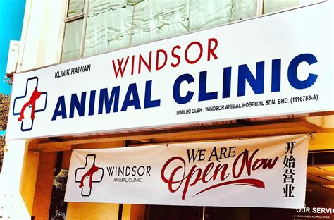 We are strong advocates of communication and will partner with you to solve your pet's health care issues while providing the best care available. Windsor Animal Hospital Penang - Home | Facebook