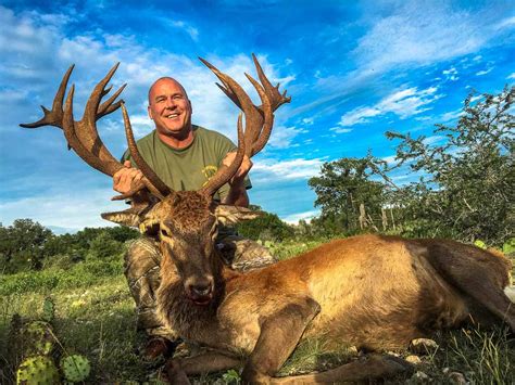 Red Stag Hunting 18000 Acres In Texas 60 Species Ox Ranch