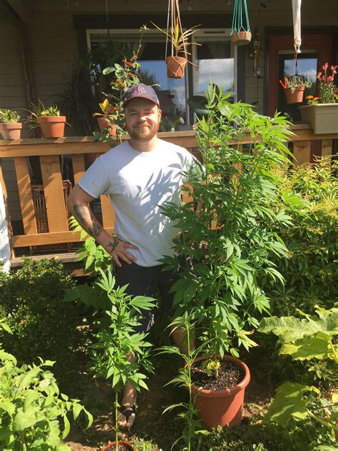 Reddit Growing Weed