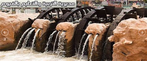ننقل لكم نتيجة الشهادة الاعدادية 2021 الترم الثاني في كل المحافظات، يذكر أن المديريات التعليمية إنتهت من إمتحانات الشهادة الاعدادية للصف الثالث الإعدادي في. نتيجة الشهادة الإعدادية محافظة الفيوم الترم الاول 2019 ...