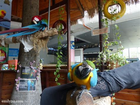 Jamnapari goat and saanen goat. KL Tower Mini Zoo | From Emily To You